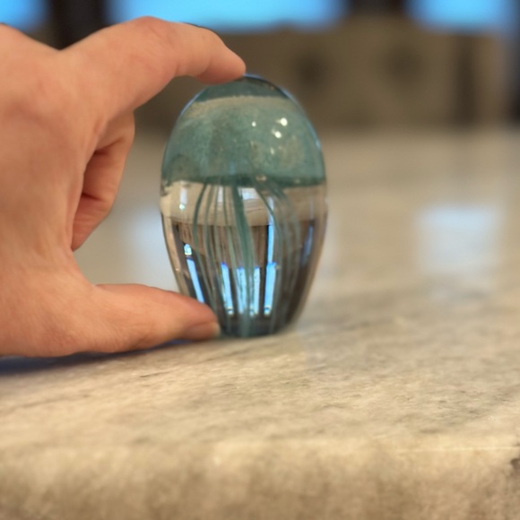 Glass Jellyfish🪼 - Picture 5 of 5
